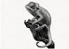 draw the best and unique black and white ink illustrations