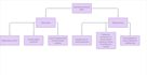 design flowchart, process maps, workflows and mind maps