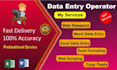 be your reliable data entry operator
