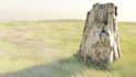 design 3d environment, landscape, terrain