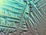do microscopic images for your publication