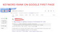 provide on page, technical, local SEO and GEO services for google and ai ranking