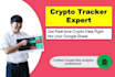 build a live crypto portfolio tracker web app or spreadsheet