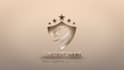 create a luxury 3d gold logo animation
