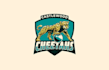castle wood cheetahs team logo