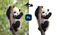 cut out images removing anything in photoshop
