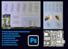 create architectural  presentation board, portfolio or album