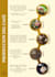 desing and amazing catalog and layout