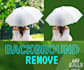 do background removal from images