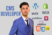 make wordpress website stores for online business