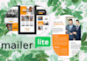 setup your mailerlite email marketing and design landing pages