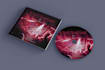 design your dvd cover in totally different concept
