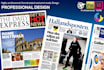 design professional look newspaper