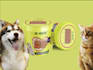 design premium product labels, box packaging, and pouch bag