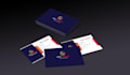 professional business card design services in low price