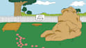 create 2d digital animation videos for brand promotion