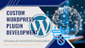 do custom  wordpress plugin development
