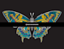 to digitally illustrate an insect with a black background in psychedelic