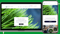design and redesign the godaddy website professionally