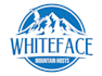 design modern mountain logo