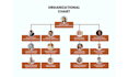 design professional organization chart