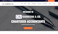 build a professional website that generates leads and customers