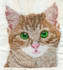 do embroidery digitizing design into dst pes jef file in 1 hour
