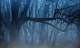 create nature relaxing rain video for youtube