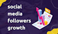 increase social media followers fast