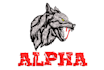 embroidery digitizing, convert to pes, dst, pxf in 1hr