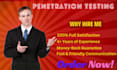do vulnerability and penetration testing with security