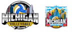 design a professional and beautiful volleyballs logo
