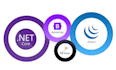 develop expert dot net core web apis for high performance