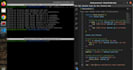 write bash, shell and python automation script