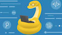 tutor python programming language