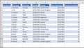 do excel data entry, virtual assistant