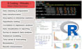 data analysis, visualization,code,script r programming and python