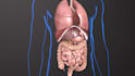 create 3d medical explainer video, 3d medical animation