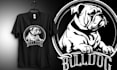 be custom tshirt and merchandise designer