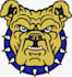 do embroidery digitizing into dst pes pxf file in 1 hour
