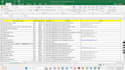 do data entry, copy paste, excel, pdf work profesionally