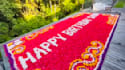 create valentine wish in swimming pool with flowers