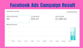 facebook instagram twitter linkedin youtube ads campaign for leads and sales