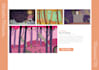create a fun animated music video with illustrations