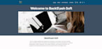 do website development or redesign wordpress theme with complete SEO