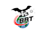 provide impressive trucking transportation logo design