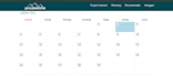 develop your ideal custom website