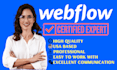 do webflow website design and figma website development