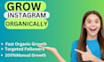 do instagram marketing for fast organic instagram growth