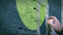spray paint any thing on graffiti wall within 24 hrs